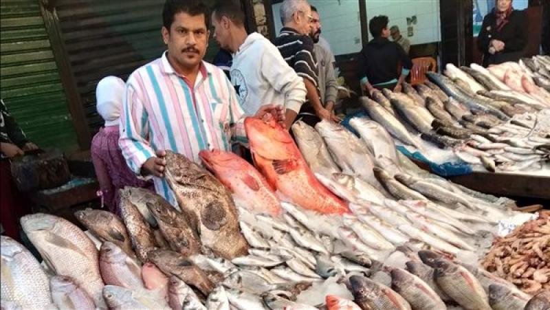 سعر السمك في مصر