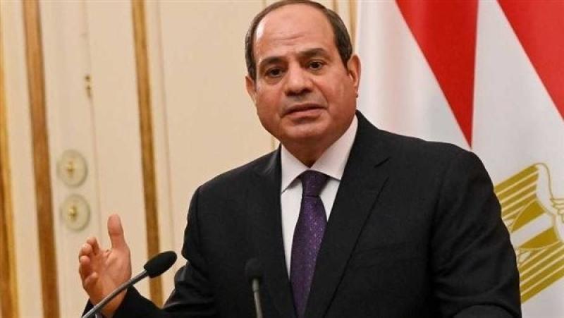 شاهد.. السيسي يشدد على احترام حق شعوب الدول الإفريقية في الحياة