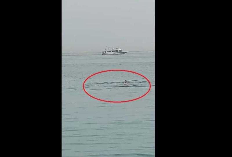 شاهد.. سمك القرش يلتهم سائحًا روسيًا بالغردقة