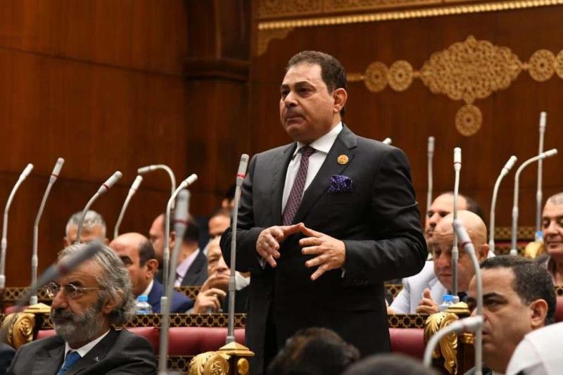النائب فرج فتحي