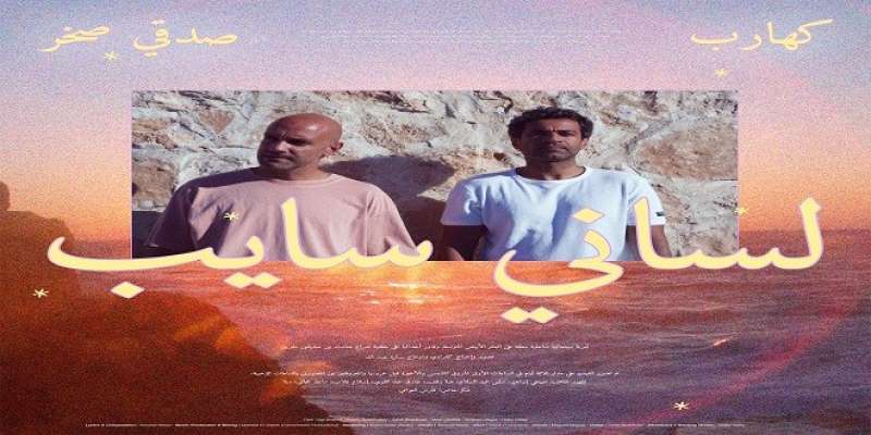 صدقى صخر_كهارب