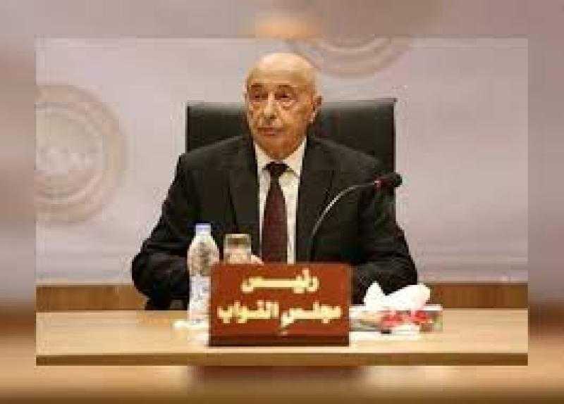 عقيلة صالح: نريد أن تكون الانتخابات هي الحكم بين الليبيين