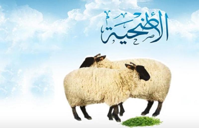 أرشيفية