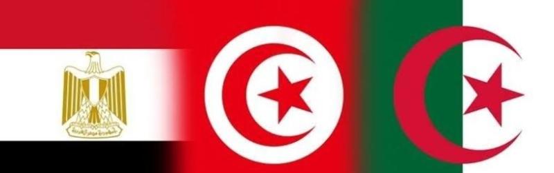 وزير الرياضة يبحث مع نظيريه التونسي والجزائري تعزيز سُبل التعاون المشتركة 