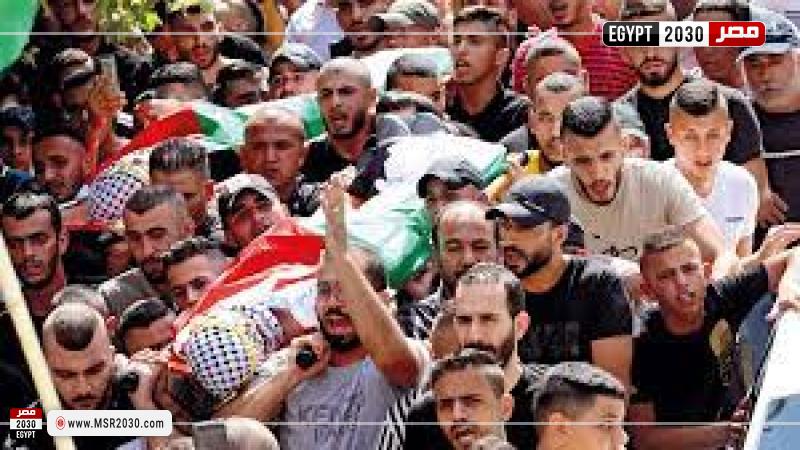 الاحتلال الاسرائيلي