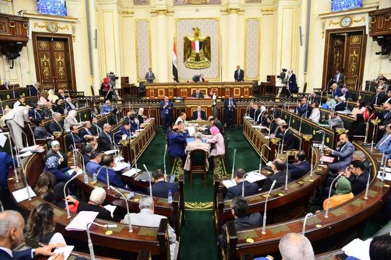 أستاذ قانون يكشف أهمية زيادة عدد أعضاء مجلس النواب.. «فيديو»