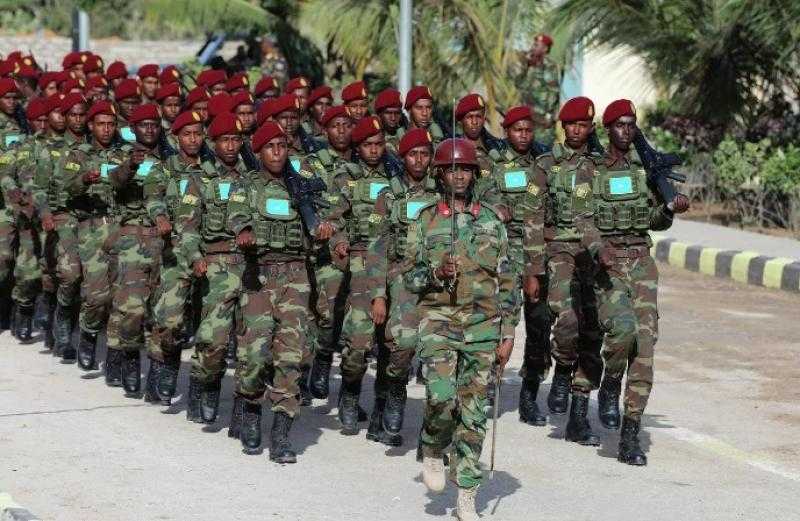 خبير استراتيجي: هناك عدم ثقة من الصوماليين في قدرة الحكومة على مواجهة الإرهاب