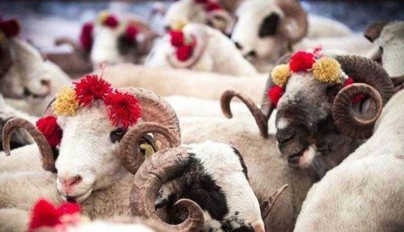 «حموم الأضحية وتكحيل عين الخروف».. أغرب عادات الشعوب في عيد الأضحى