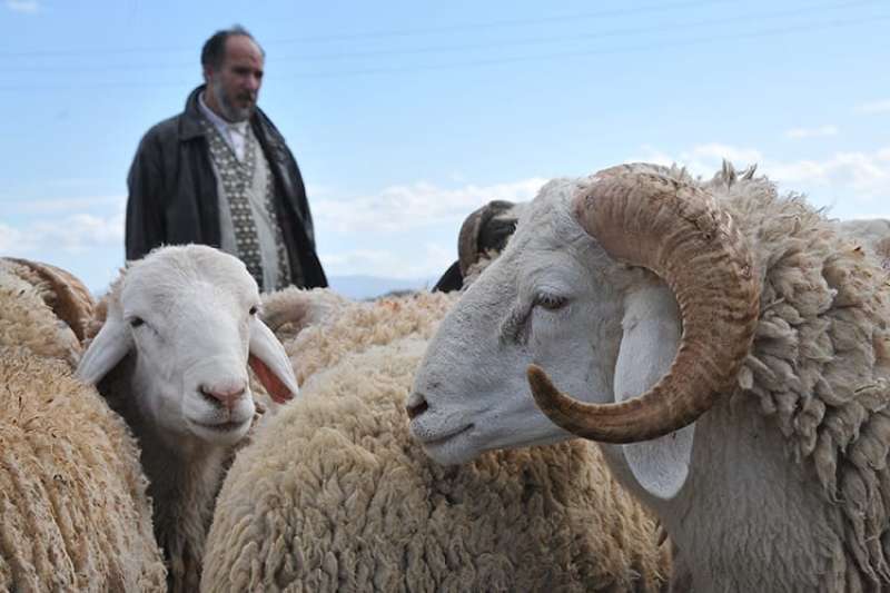 أرشيفية