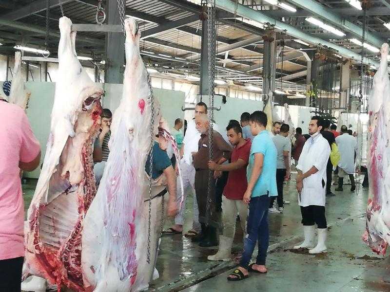 مواعيد العمل الرسمية لمجزر البساتين خلال عيد الأضحى.. «فيديو»