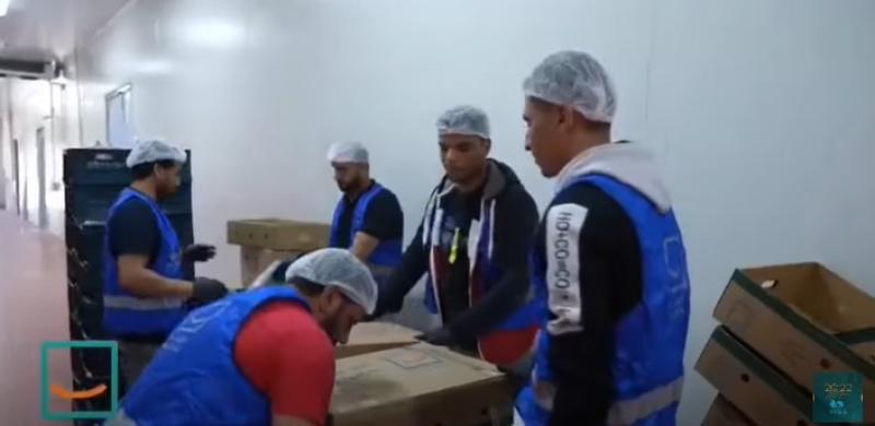 خطوة بخطوة.. رحلة ذبح الأضحية في مؤسسة حياة كريمة «فيديو»