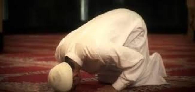 ما هي عدد ركعات النوافل وأوقاتها؟