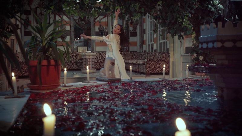 نزار قباني يفتتح مهرجان السينما العربية بشرم الشيخ