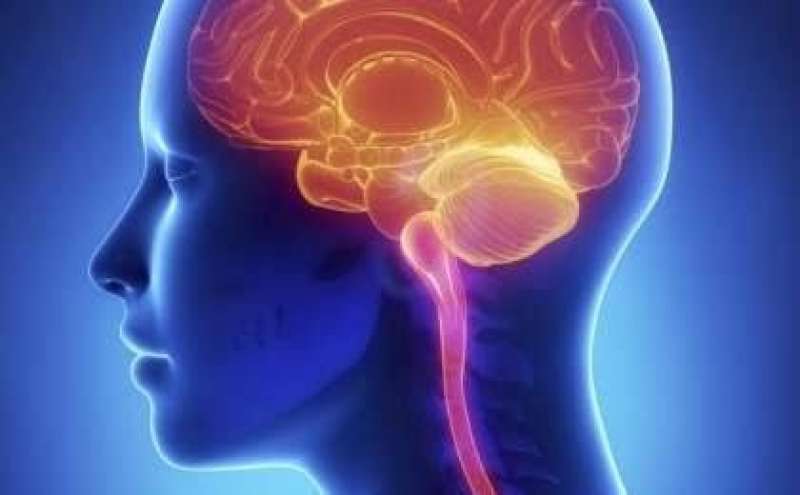 تمدد الأوعية الدموية 