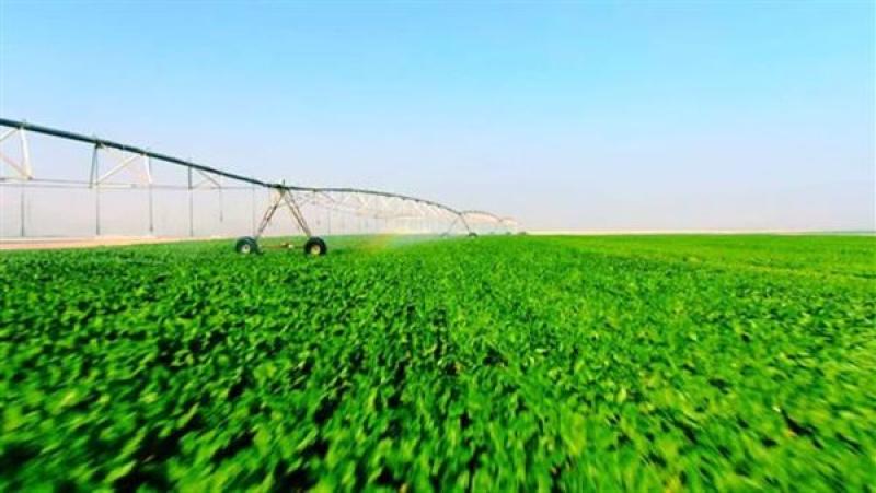 مشروع الـ1.5 مليون فدان