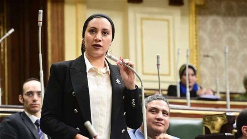 عضو مجلس النواب عن تنسيقية شباب الأحزاب والسياسيين