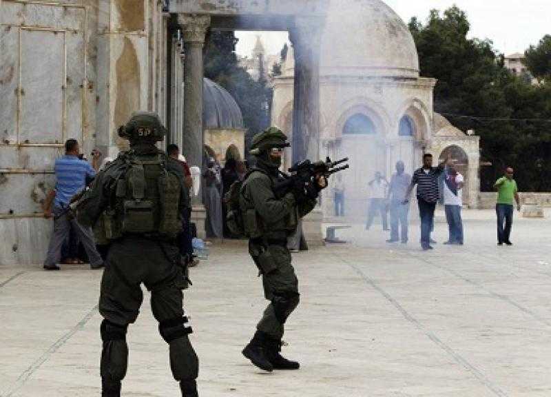 مستشار الرئيس الفلسطيني: نواصل الدفاع عن حقوق شعبنا المشروعة ضد الاحتلال