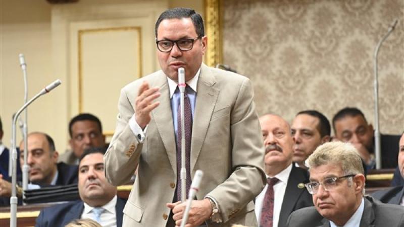 النائب هشام الحصري