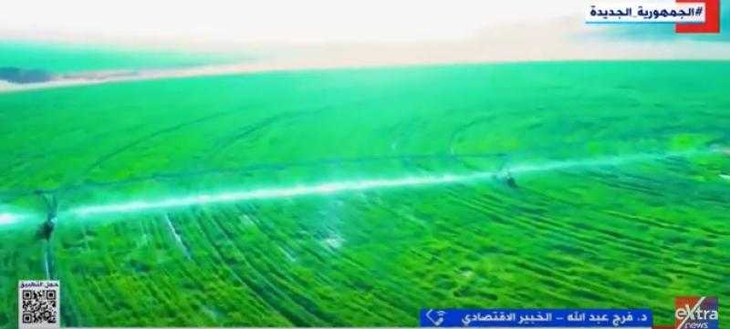 شاهد.. كيف يساهم القطاع الزراعي في تحقيق الاكتفاء الذاتي بمصر؟