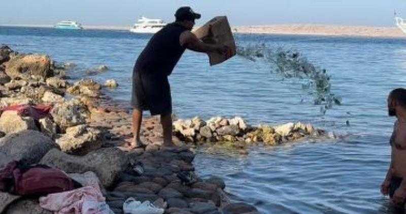 رد قوي من محافظ البحر الأحمر بشأن واقعة إلقاء زجاجات فارغة في مياه البحر.. «فيديو»