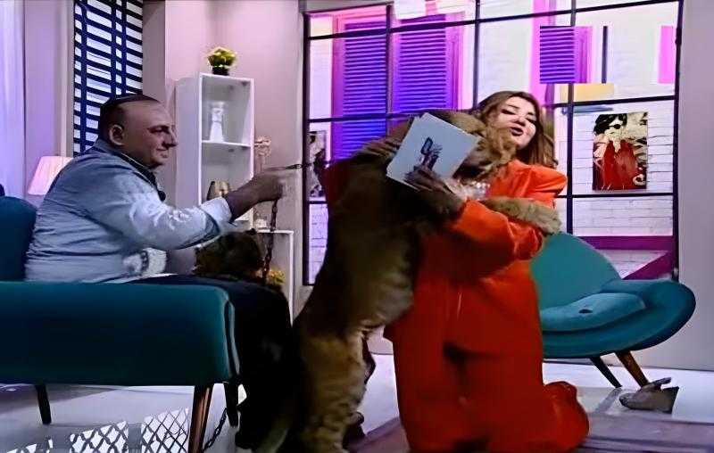 مادلين طبر تروي تفاصيل تعرضها لـ«عضة أسد» على الهواء - فيديو