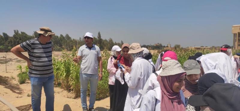 «الطاقة الذرية» تستعد لاستقبال 1900 طالب في أكبر تدريب صيفي بمصر