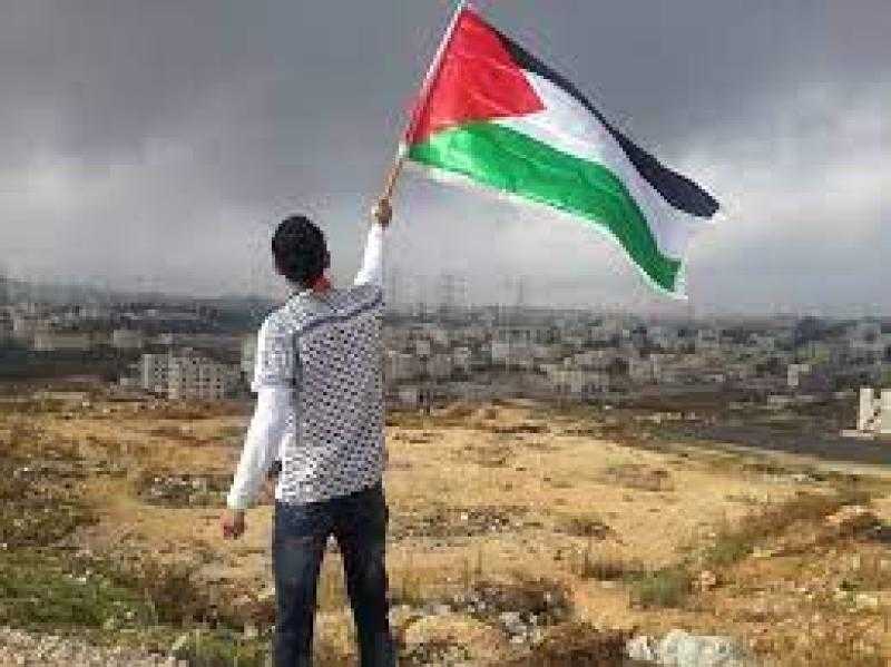 برلماني يطالب حماية  دولية للفلسطينيين