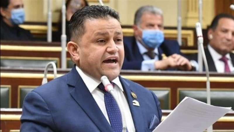 النائب شحاته أبو زيد