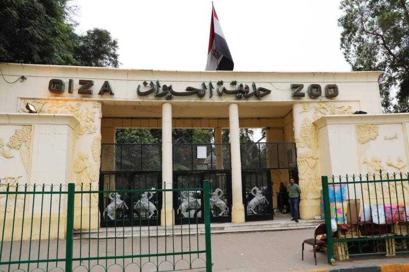 إيهاب صابر عن مهاجمة تطوير حديقة الحيوان: «معرفش بيجيبوا المعلومات منين»