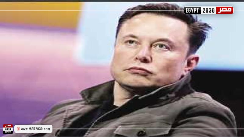 إيلون ماسك