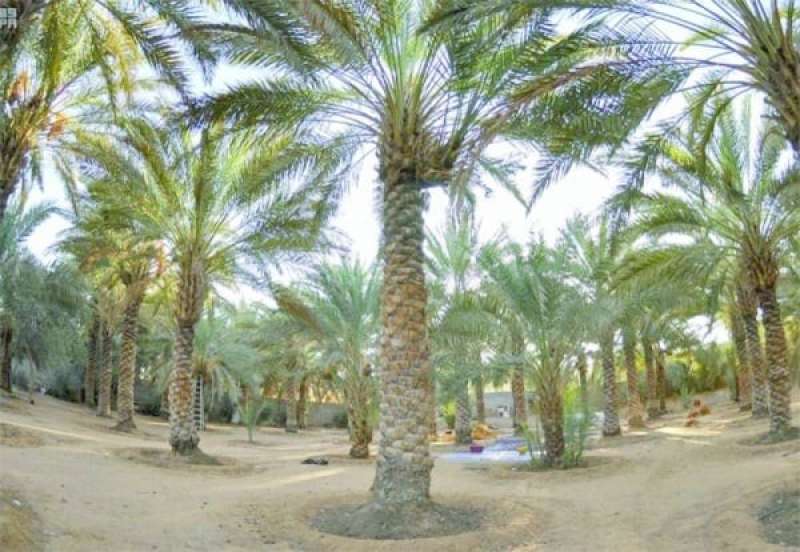 تعبيرية