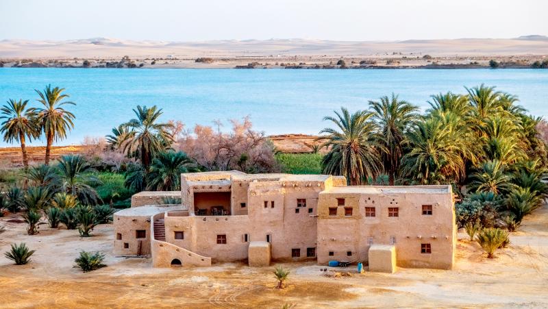 واحة سيوة