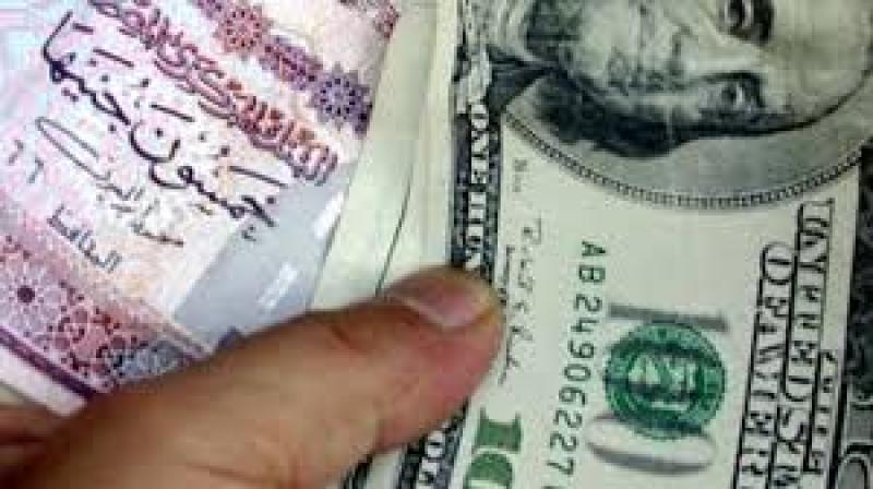 ثبات في سعر الدولار مقابل الجنيه بـ البنوك (في نهاية تعاملات اليوم)