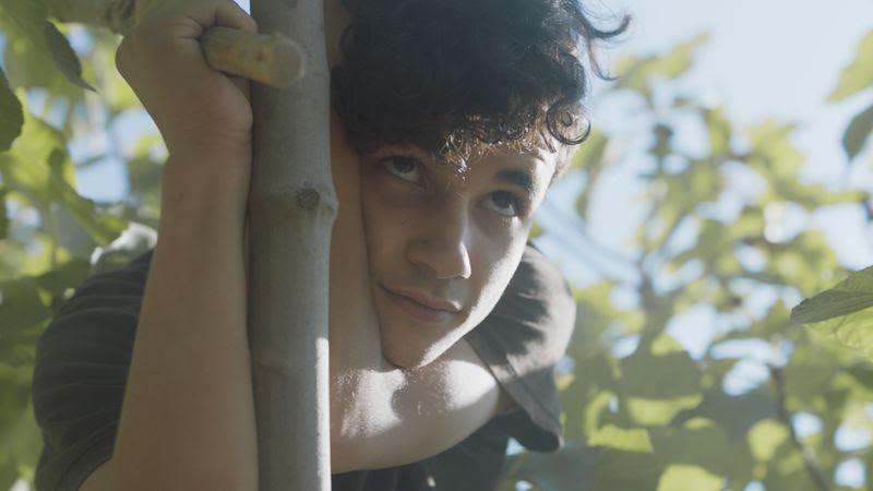 تحت الشجرة يفوز بالجائزة الكبرى في مهرجان تايبيه السينمائي في تايوان