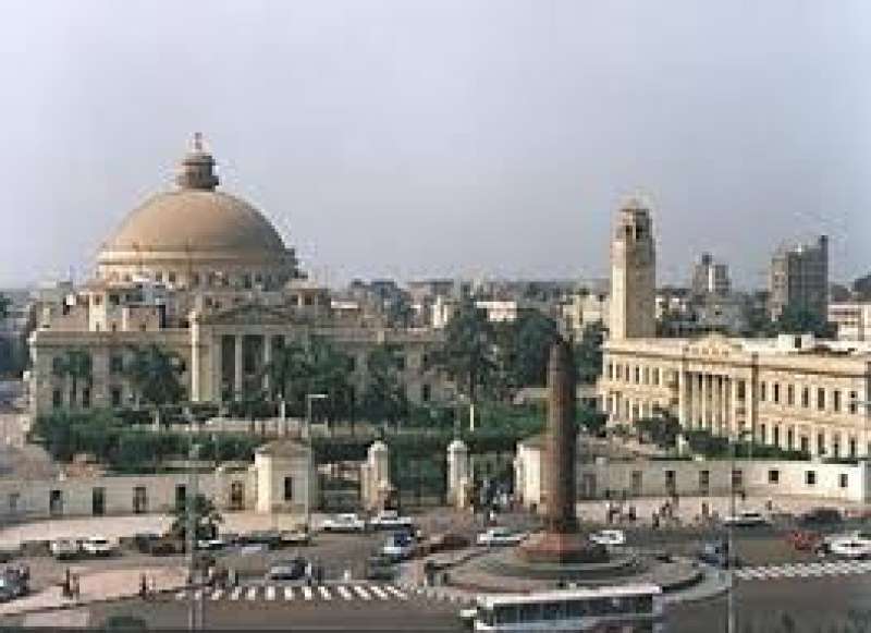 الجامعات 