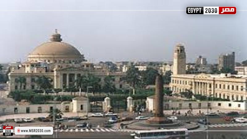 الجامعات