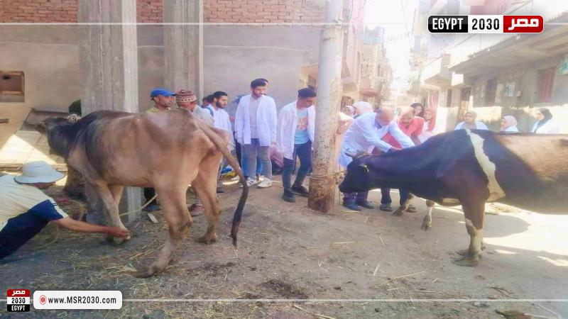 مركز شباب تيدا بكفر الشيخ 