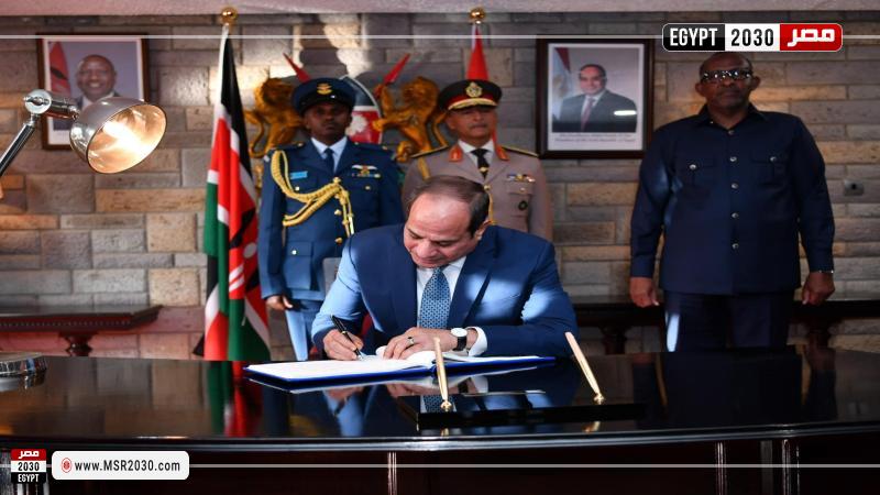 الرئيس عبد الفتاح السيسي