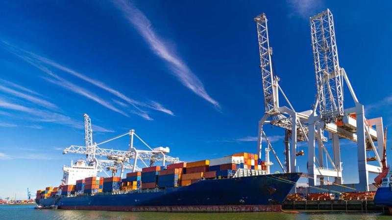 ما الخدمات التي تقدمها منطقة التجارة الحرة الإفريقية لمصر؟ - فيديو