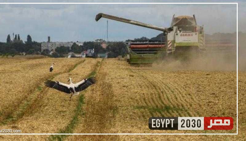 بعد انتهاء ”اتفاق الحبوب” بين روسيا وأوكرانيا وتعليق الممر.. ماذا سيحدث؟