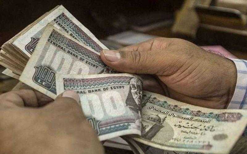شاهد .. كيف تبدأ مشروع ناجح من منزلك بـ 3 آلاف جنيه؟