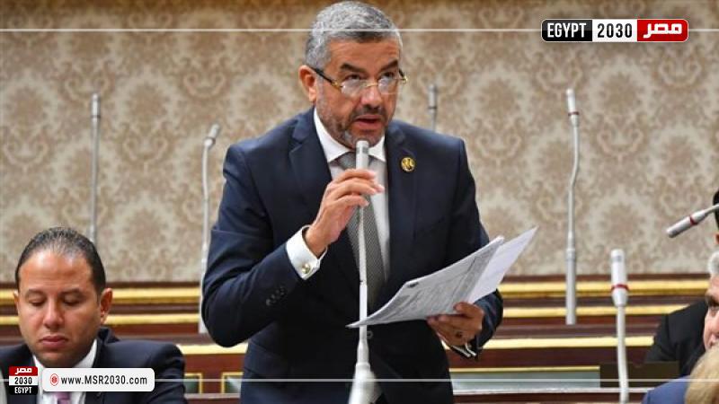 النائب عماد سعد حمودة