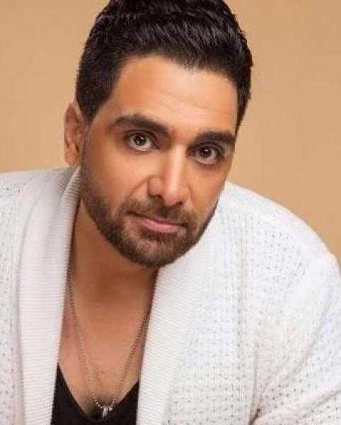 بتهمة الاعتداء على أكمل رسلان.. تأجيل محاكمة أصحاب «قصر الكبابجي»