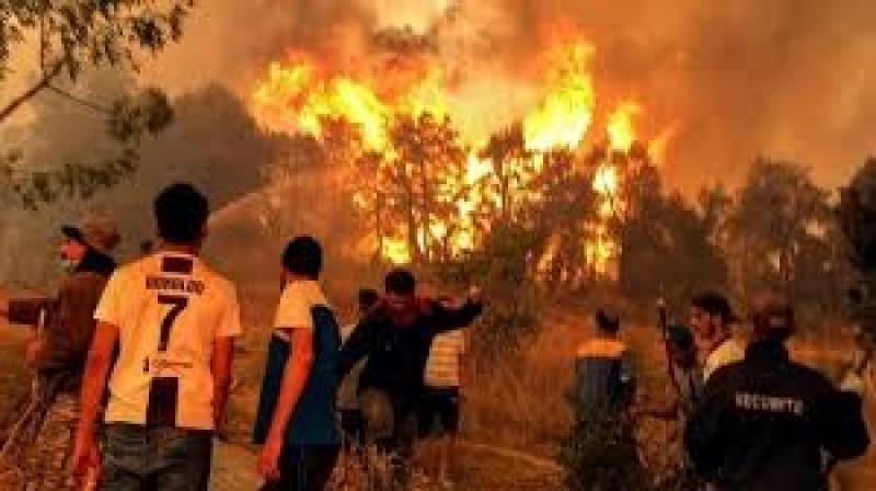 الجزائر: ارتفاع حصيلة ضحايا حرائق الغابات لـ 34 قتيلا