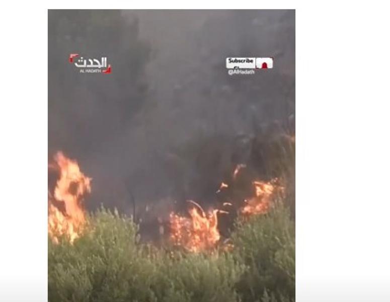 مشاهد مروعة لانتشار حرائق الغابات بالجزائر.. «فيديو»