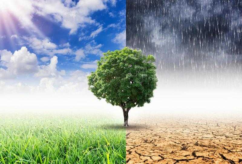 عبد المسيح سمعان: أي بلد في العالم أصبحت معرضة للظواهر الجوية المتطرفة.. «فيديو»