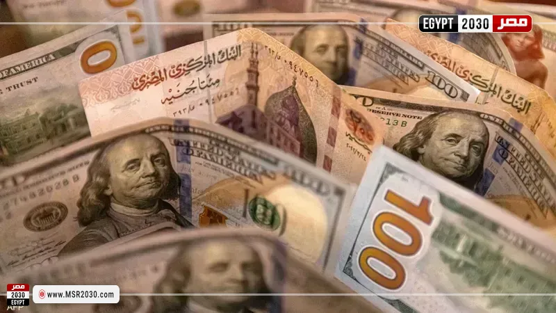 الشهادات الدولارية