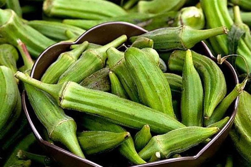 البامية المصرية