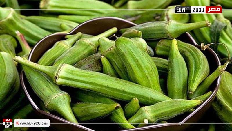 البامية المصرية