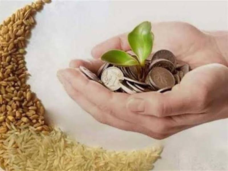 أشخاص لا يجوز إخراج الزكاة لهم.. «الإفتاء» تحددهم